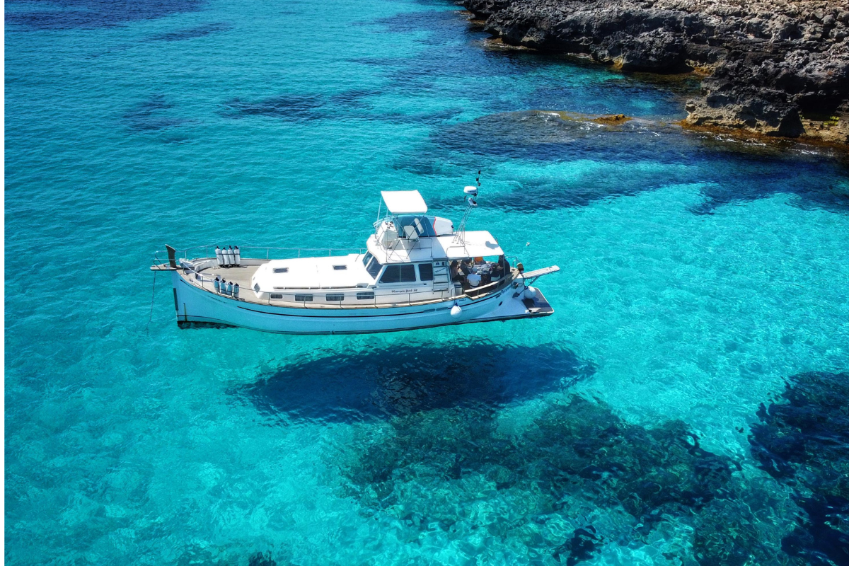 Diseño sin título-2